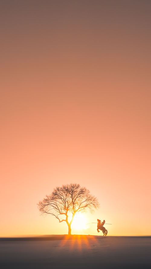 _美轮美奂的开幕式：场馆载歌载舞迎来盛大开幕_，开幕仪式音乐庄重