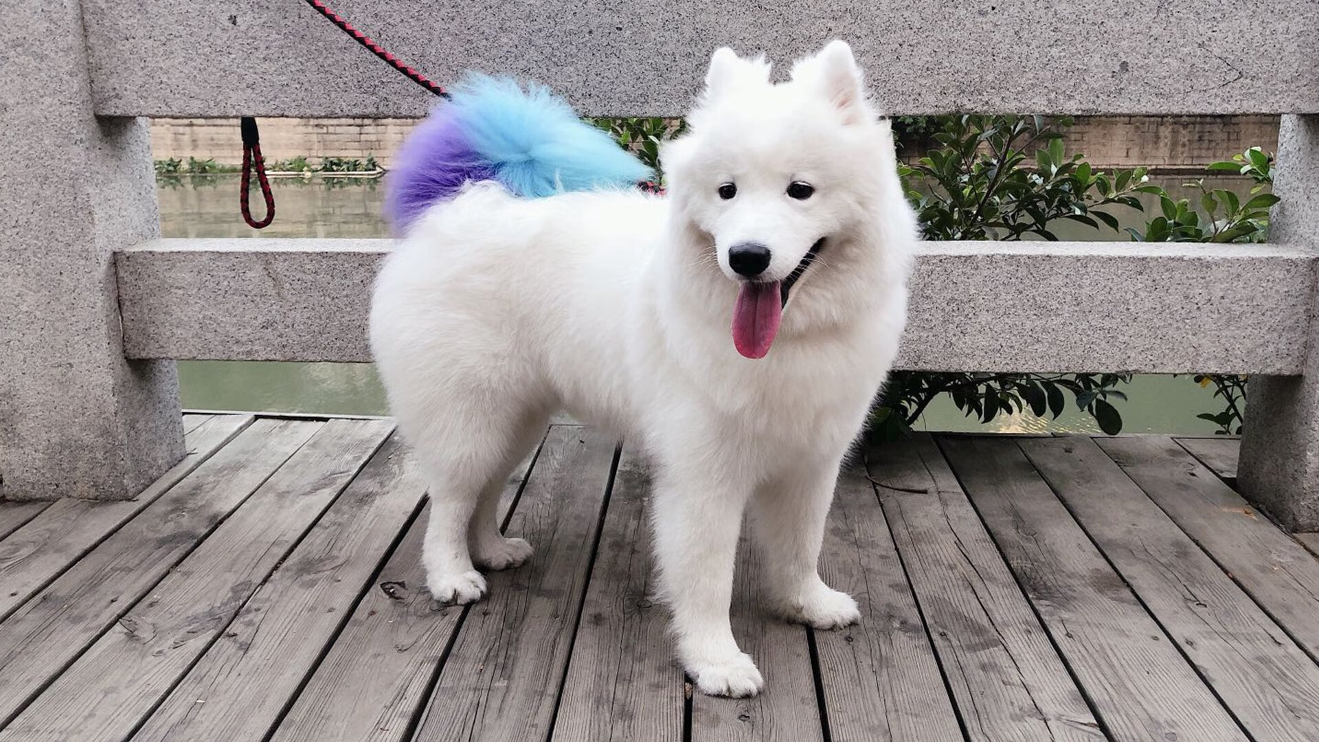 Kaiyun APP-弓箭射击公开赛，目标精准展风采，弓箭比赛