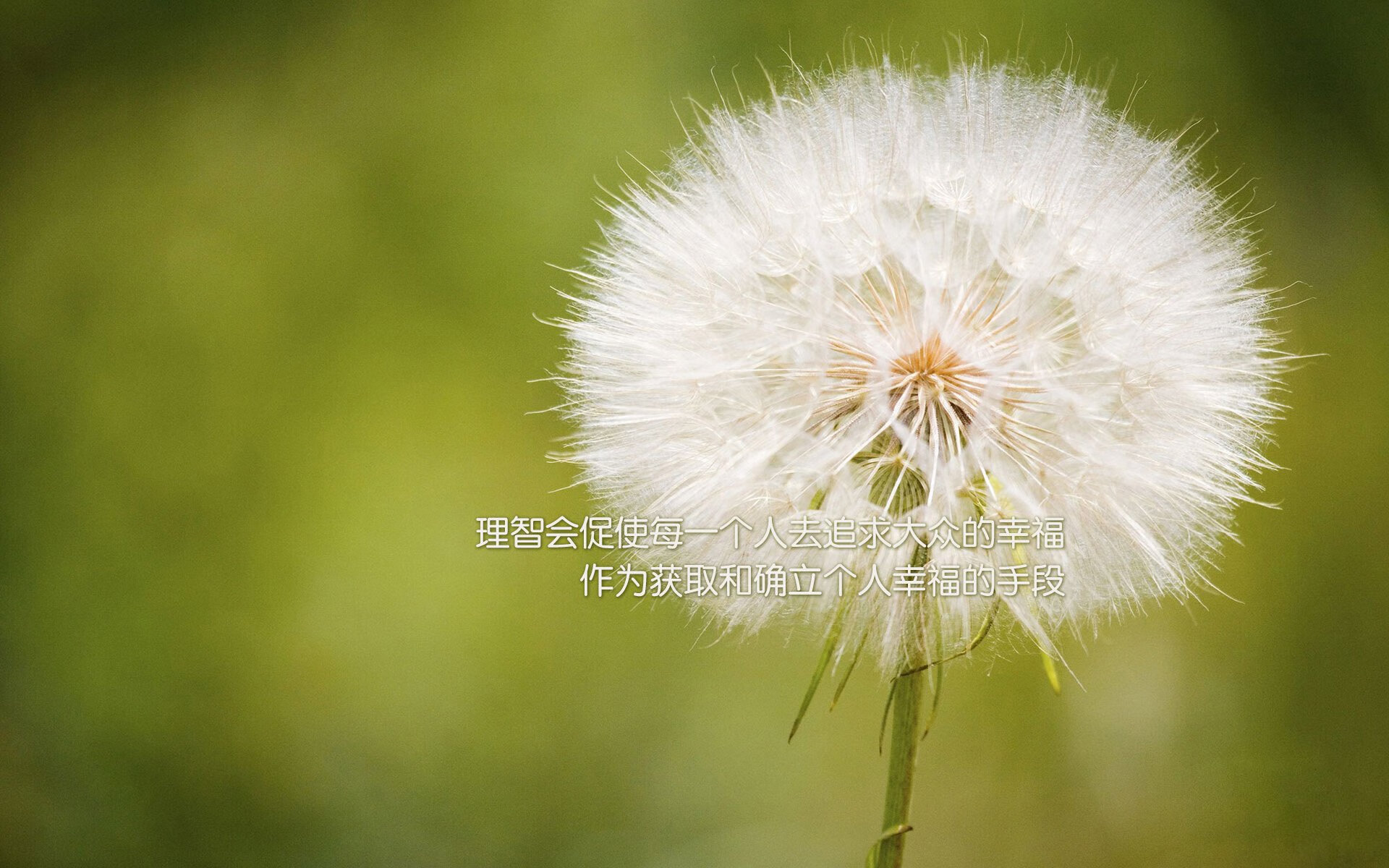 泰国马术协会开展马匹福利宣传活动，提升公众意识。，泰国马师