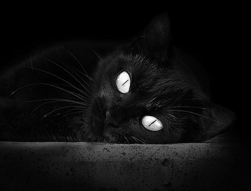 特色乡村环湖骑行，绿色旅游与运动的完美结合，环湖骑行文案