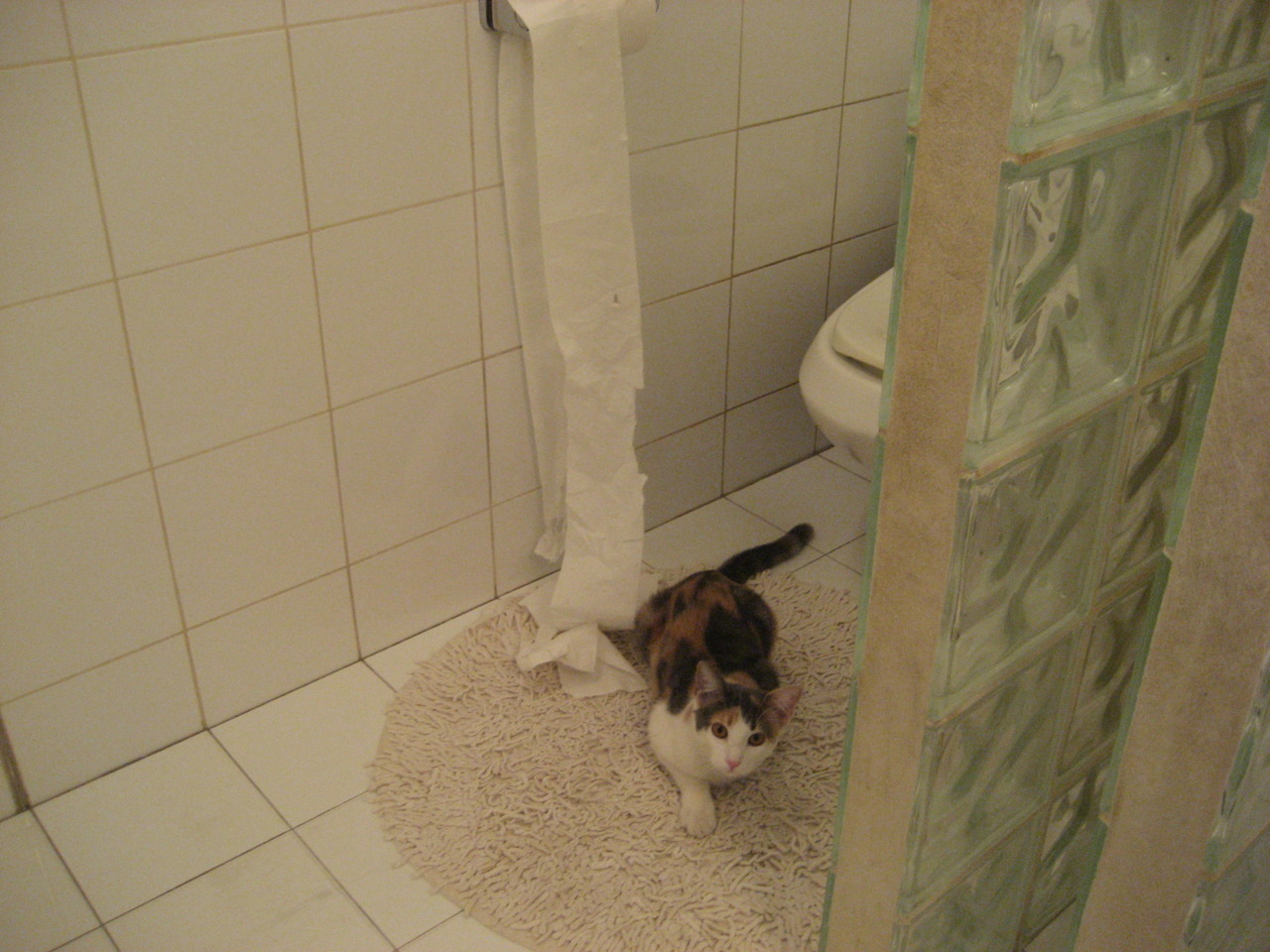 开云网站-维克托·文班亚马在NBA常规赛中表现亮眼，文班亚马身高