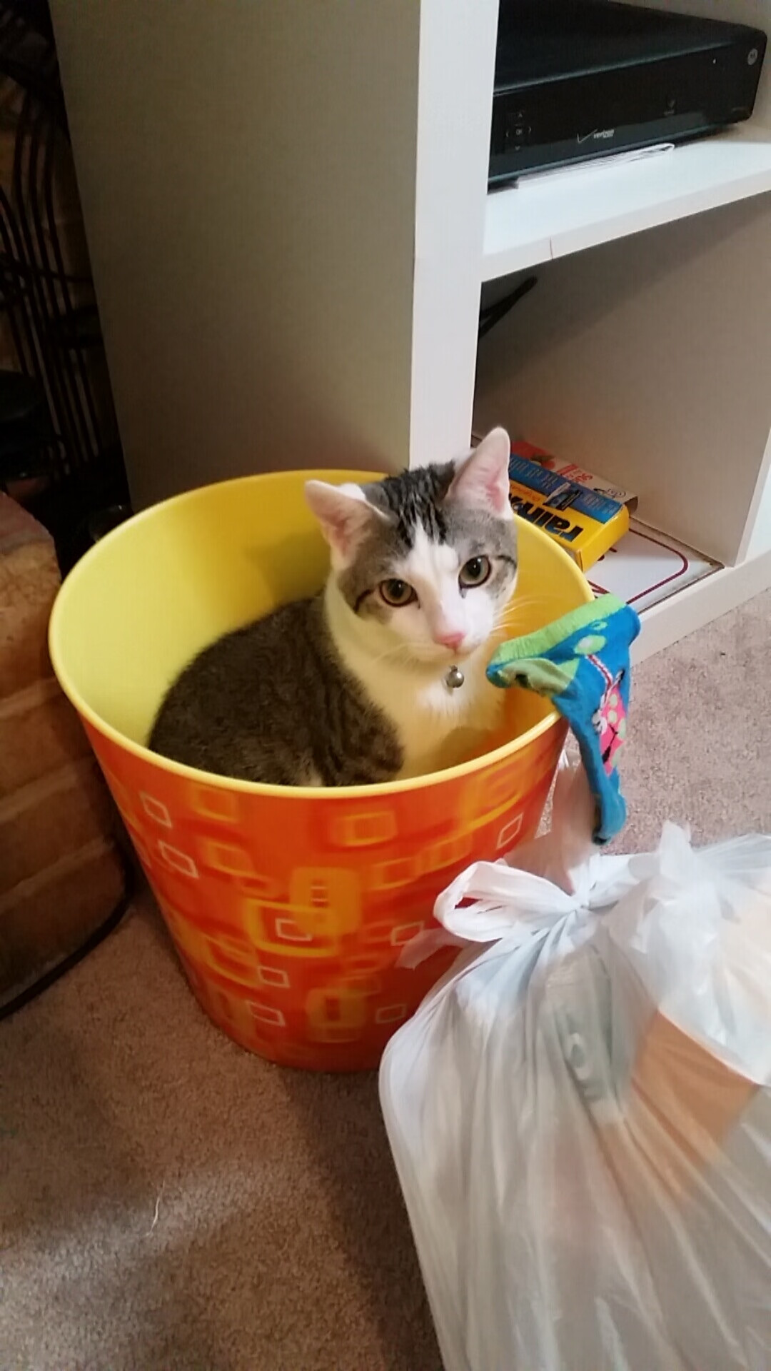 开云·体育官网-绝地求生 战术创新成为比赛焦点，绝地求生 技术