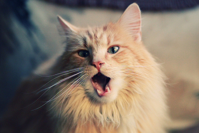 开云体育-英雄联盟 冠军争夺阶段紧张激烈，英雄联盟比赛冠军是谁