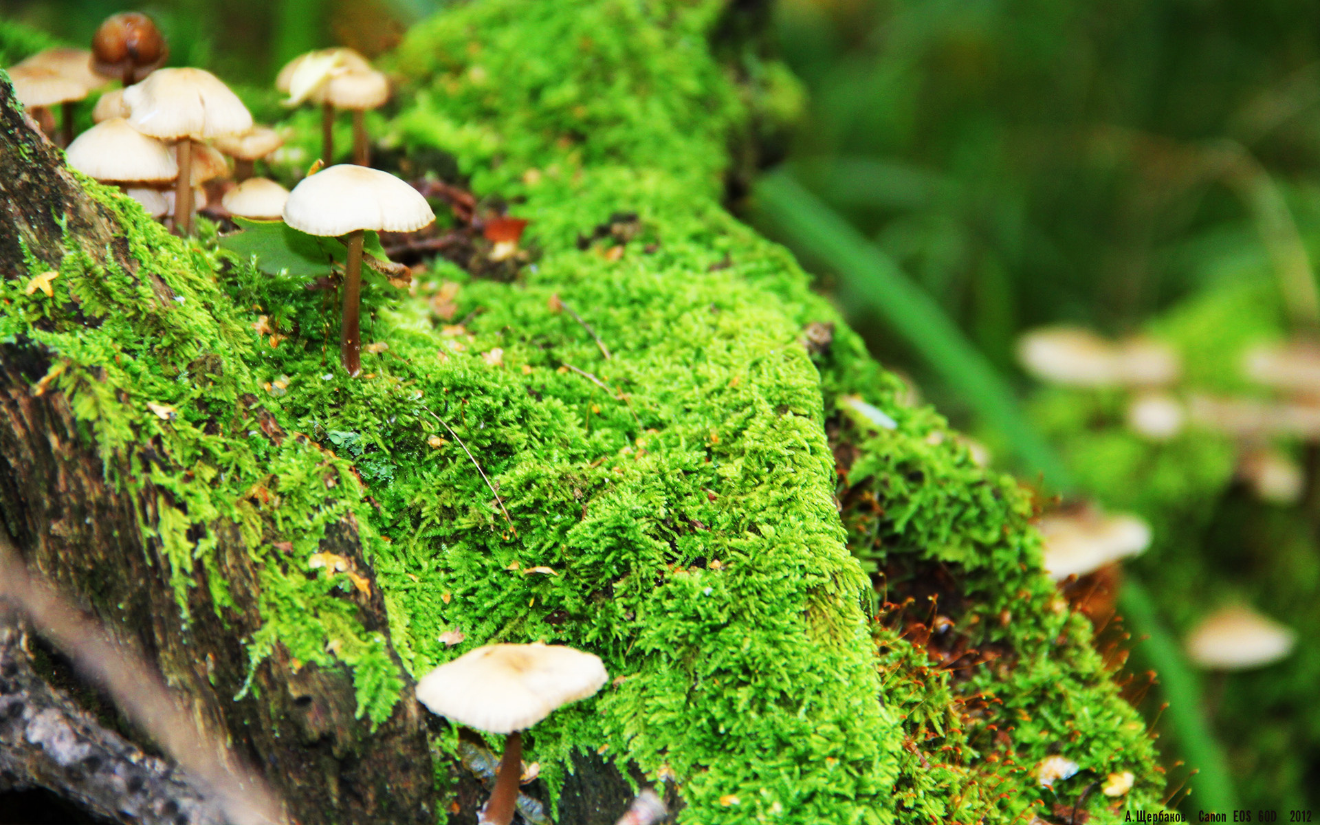 运动员平日训练技巧大公开，运动员训练时间表