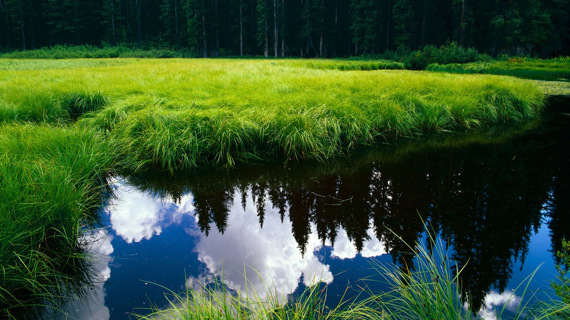 开云kaiyun-青少年篮球训练体系创新，个性化培养引领行业发展，青少年篮球训练现状及对策