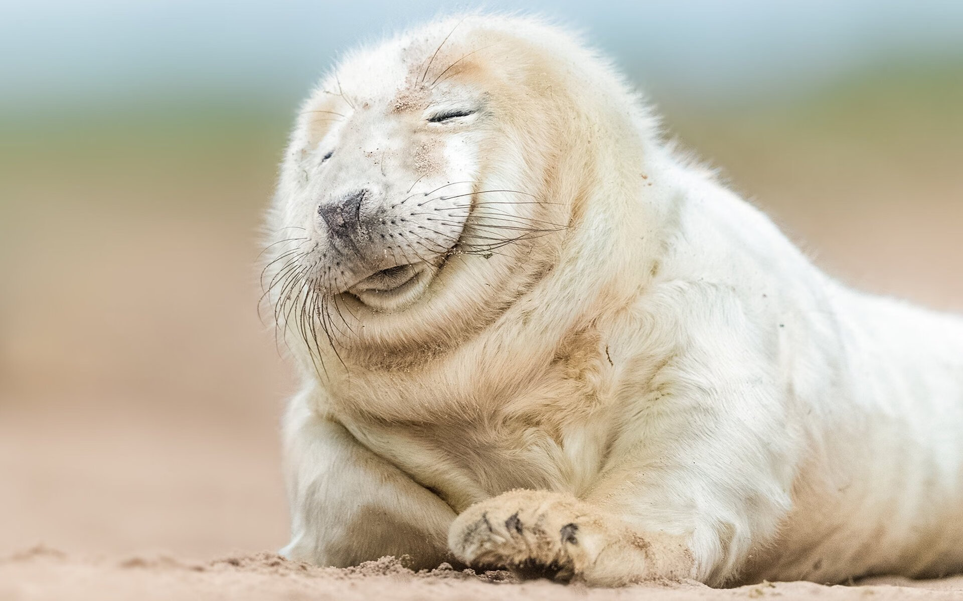 kaiyun开云·官方网站-上海海港球队与国际俱乐部合作，上海海港球队与国际俱乐部合作了吗