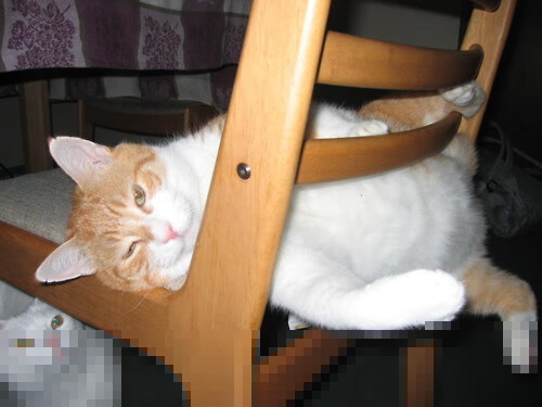 开云中国-切尔西女足教练团队战术调整成效显著，切尔西女足队员名单