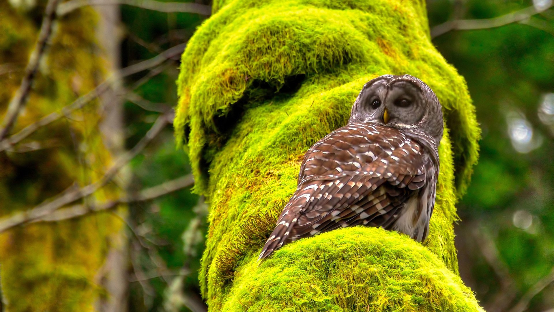 kaiyun登录入口-千叶喷射机攻防转换效率提升，千叶喷射机攻防转换效率提升原理