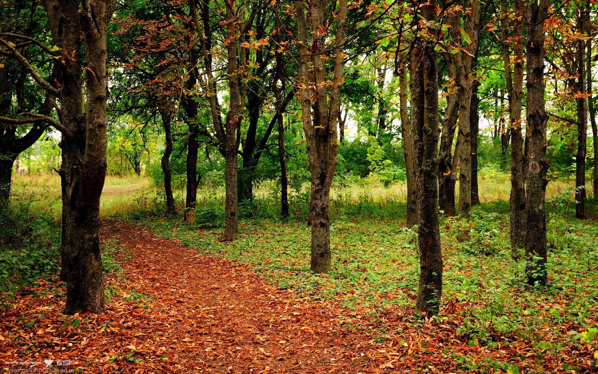 KAIYUN 中国大陆-法国男足主帅下课传闻四起，法国男足主力阵容