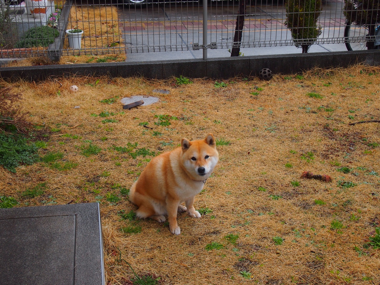 kaiyun.com-热刺2-0狼队，豪取三连胜，热刺1_0狼队