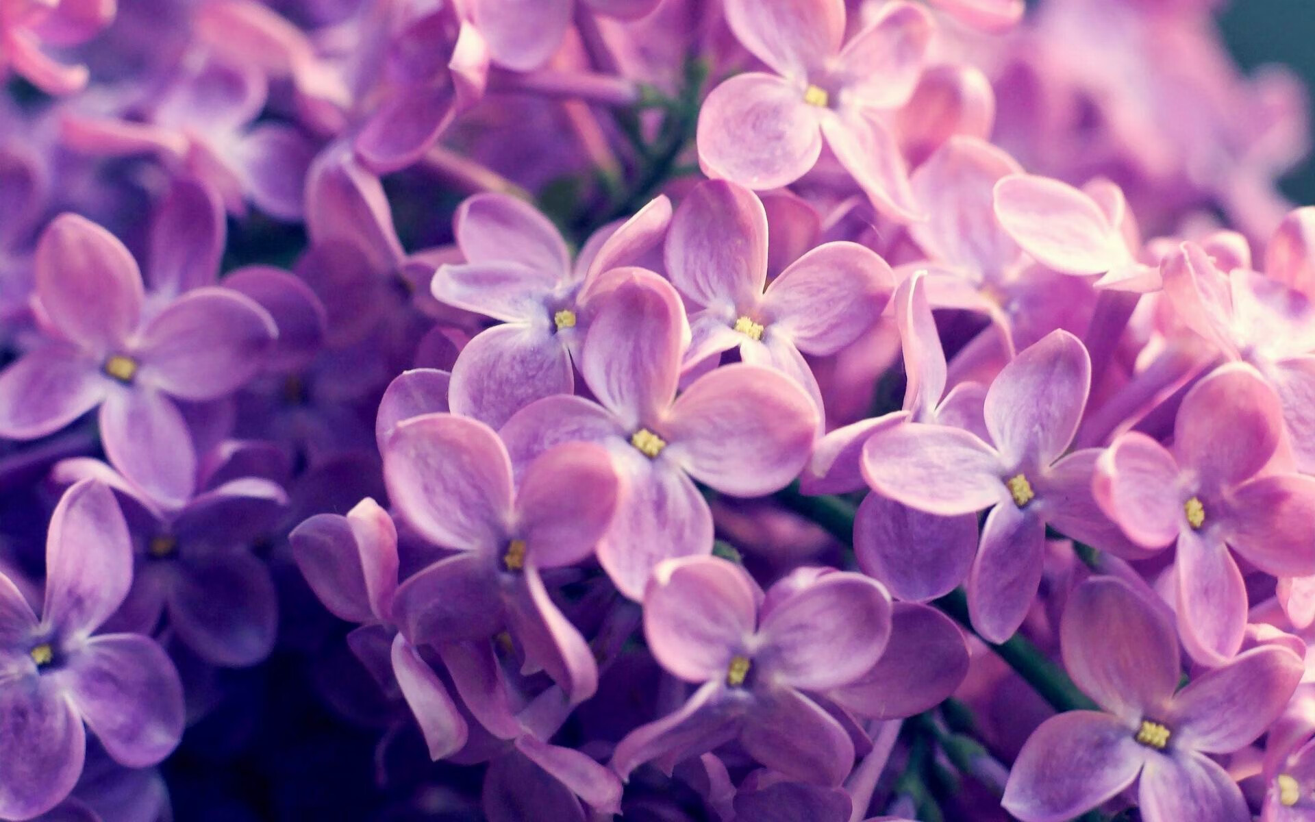 皇家社会主场失利，需要调整状态，皇家社会2021赛季主场球衣