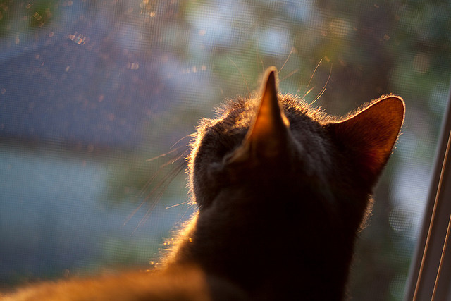 腾讯电竞赛事推动电竞产业链协同发展，腾讯电竞产业报告
