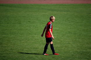 开云·体育官网-NBA球员训练方法创新，nba球员训练视频,篮球技术