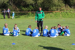 kaiyun登录入口-中国篮球教练员战术创新能力培养研究，篮球教练员职业素养的三大核心