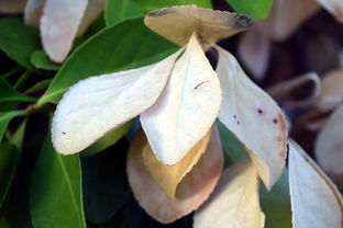 开云·体育官网-法甲防守阵型转换与对手控球比变化的动态关系研究，法国足球防守型中场