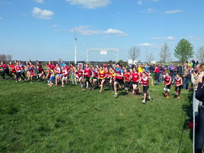 kaiyun开云·官方网站-青少年体育运动社会支持系统研究，青少年体育运动社会支持系统研究现状