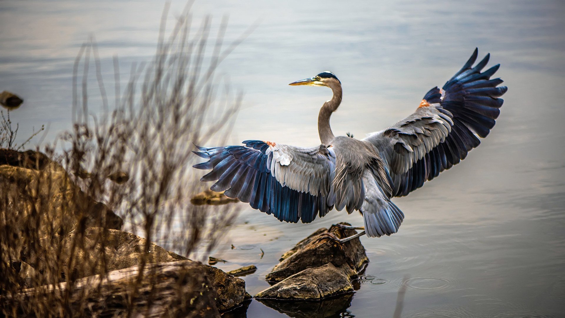明星运动员公益足球赛促进社区融合,足球公益事业