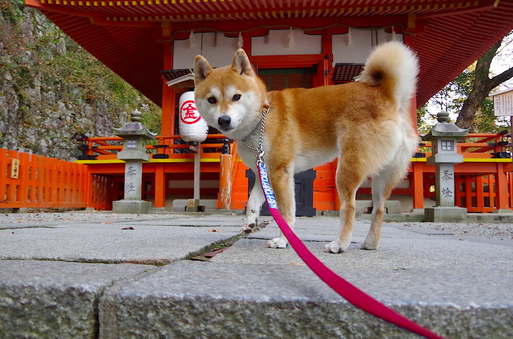 开云体育-法甲球队的跨界合作案例，法甲球队的跨界合作案例分析