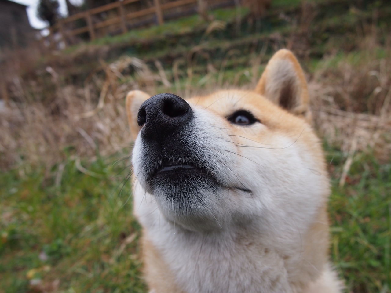 西甲场场精彩:攻守之间的华丽变换,西甲场次