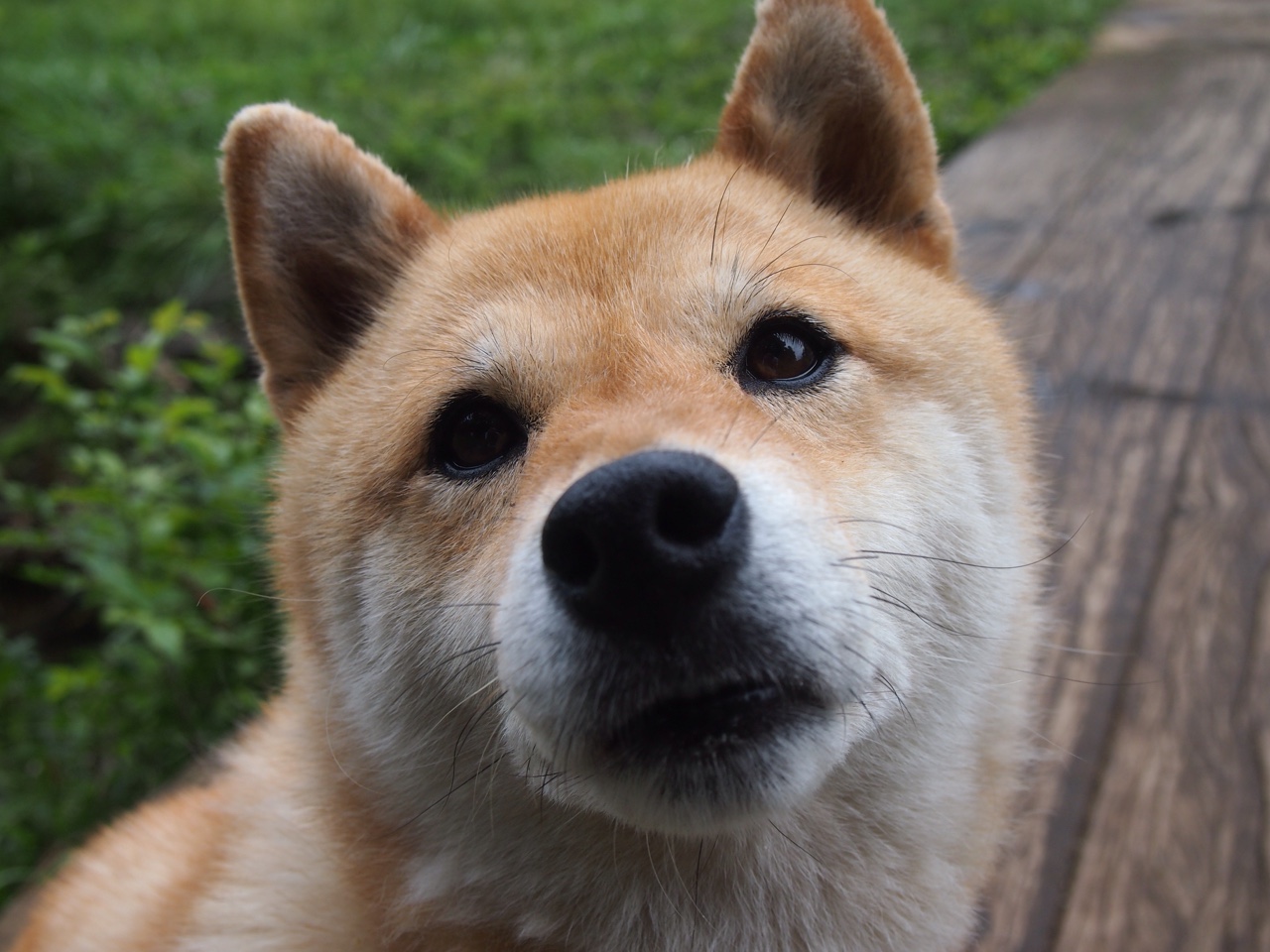 开云·Kaiyun网页版-青训营强化基础技术训练打牢技能根基，青年训练营总结