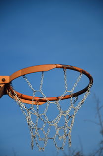 开云体育官网下载-NBA球员体能训练计划设计与效果评估，nba球员的体能训练